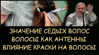 ✅ Н.Левашов: Значение седых волос. Какая сила в длинных волосах. Влияние краски д/волос. Блокировки