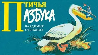 Азбука для малышей | Птичья Азбука или мультик про буквы начиная с АИСТа  Владимир Степанов