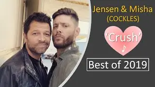 Jensen & Misha (Cockles) - Crush (Best of 2019)