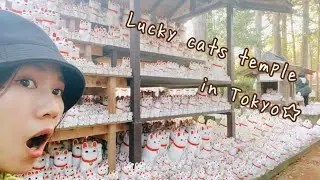 【Tokyo】Gotokuji Temple and Around Gourmet! Lucky Cats Temple【JAPAN vlog】