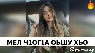 Чеченская Песня Мел Ч1ог1а Оьшу Хьо😍