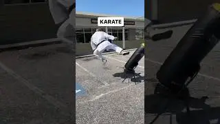 Karate vs. Street Fighting 💥