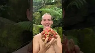 Top 5 Weirdest Fruits