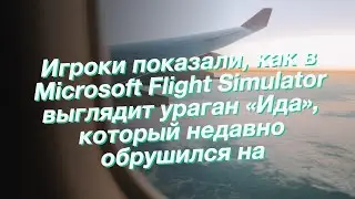 Игроки показали, как в Microsoft Flight Simulator выглядит ураган «Ида», который недавно обрушился