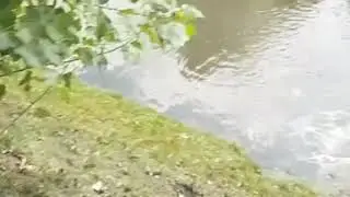 Волшебный сток непонятно чего: в Казани сняли на видео сброс стоков в Булак