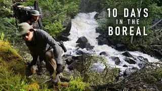 10-Day Boreal Wilderness Adventure by Canoe - Wabakimi