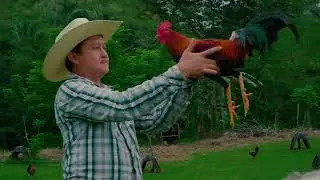 MEGA LEGEND - Feed Additive