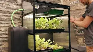 Sprout Mini Greenhouses - The Range