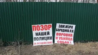 Сборы на приют падают, а цены растут. Новые убийства собак при полном бездействии полиции и властей