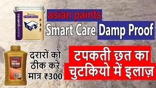 Cracks repairing and waterproofing | Asian paint damp proof | छत्त की सीलन को कैसे रोके