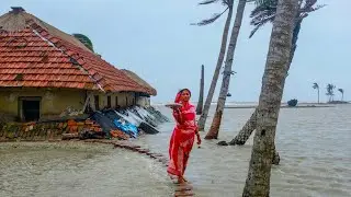 The Sundarbans Mangrove Delta Forest in Asia—Educational Video (English)