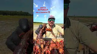 PROFESSIONAL Crawfish Peelers exist? 