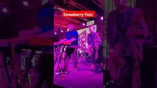 Fishbone w/ Strawberry Fuzz, Bite Me Bambi, and Damnage at Crescent