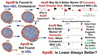 ApoB: Is Lower Always Better?