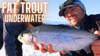 Catching Big Trout on Jaw Jacker Plus Underwater View