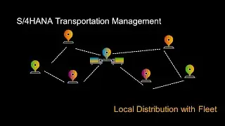 SAP S/4HANA Transportation Management -  Local Distribution with own Fleet