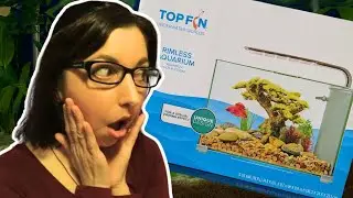 Betta Fish Tank Unboxing And Review | Top Fin Rimless Aquarium 5 Gallon Tank