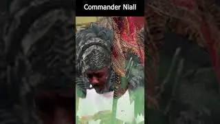 Commander Niall in Elden Ring  #eldenring #shorts #memes