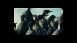 Пингвины в метро