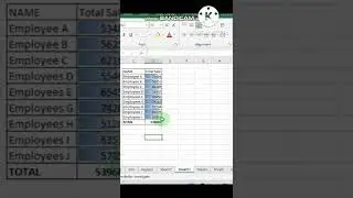 How to highlight data in excel numerically(job interview questions)