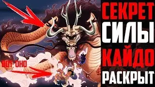 СЕКРЕТ СИЛЫ КАЙДО РАСКРЫТ ! | ЭТО НЕ ПРОСТО ЗОАН ДРАКОНА ? |  Йонко Кайдо | Сильнейшее Существо