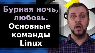 Основные команды Linux, которые должен знать каждый | Linux для начинающих