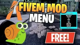 FIVEM MOD MENU 2020 | FREE DOWNLOAD | Lua executor | FREE MONEY & CARS!