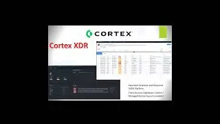 Palo Alto Cortex XDR Use Cases