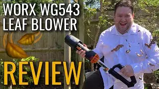 Worx Leaf Blower Review - WG543