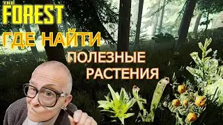 ГДЕ НАЙТИ В THE FOREST | АЛОЭ И ДРУГИЕ ПОЛЕЗНЫЕ РАСТЕНИЯ