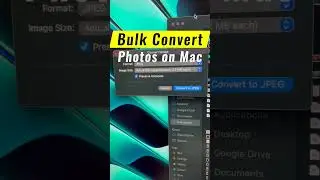 Bulk Convert Images to JPG on Mac | Tips and Tricks | iPhone HEIC to JPG