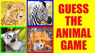 Guess the WILD Animal Sound | Listening Game for Kids, Preschoolers and Kindergarten