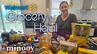 LARGE FAMILY GROCERY HAUL  | WALMART GROCERY HAUL | MINOOY