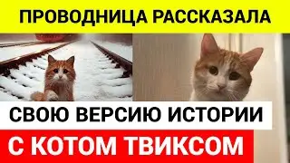 Проводник, высадившая кота Твикса, временно отстранена от работы \  кот твикс