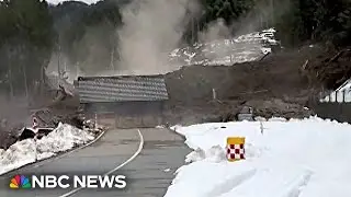 Video shows dramatic landslide during deadly Japanese earthquake