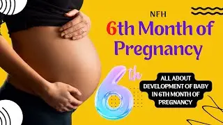 Sixth Month of Pregnancy - Baby Development |  Baby development in 6th month of pregnancy