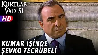 Kumar İşinde Şevko Tecrübeli - Kurtlar Vadisi