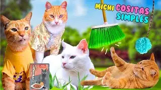 LAS COSAS SIMPLES que mis gatos DISFRUTAN! 😸😹🐾