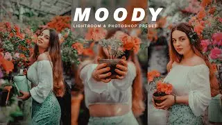 moody lightroom & photoshop preset free download | cinematic preset