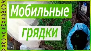 ВЫРАЩИВАНИЕ ОГУРЦОВ И КАБАЧКОВ В (МЕШКАХ) МОБИЛЬНЫХ ГРЯДКАХ!ЭКОНОМИЯ МЕСТА!