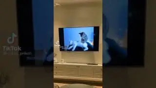 Nonton pijat plus-plus-Video Tiktok