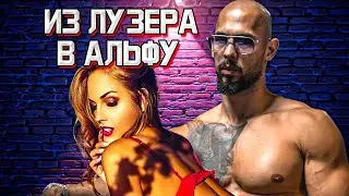 Эндрю Тейт - Из ЛУЗЕРА в АЛЬФУ! ЗОЛОТЫЕ ПРАВИЛА ДЛЯ МУЖЧИН!