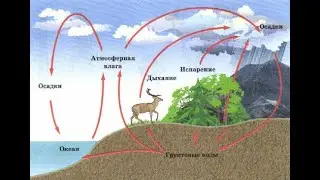 Круговорот воды в природе гидрологический цикл