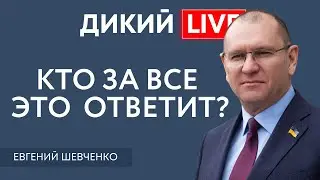 Потерянное время или упущенные возможности. Евгений Шевченко. Дикий LIVE.