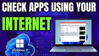 How to Check Apps Using Internet on Windows 10/11 (Monitor App Data Usage)