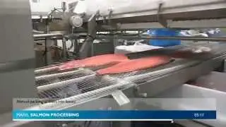 Производство охлажденного филе семги. Automation in salmon fillet processing