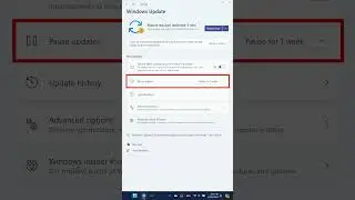 Cómo pausar las actualizaciones de Windows en Windows 11