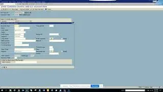 SAP ABAP: Processing BDC SAP Session in SM35