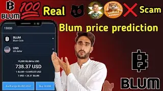 Blum Price Prediction / Blum Price prediction And Listing Date