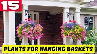 Top 15 Sun-Loving Plants for Hanging Baskets 🌞 SUN-LOVING BEAUTIES 💖